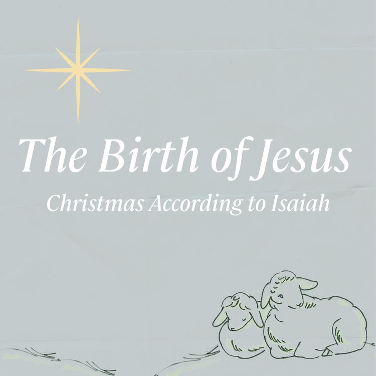 cover art for The Incarnate King