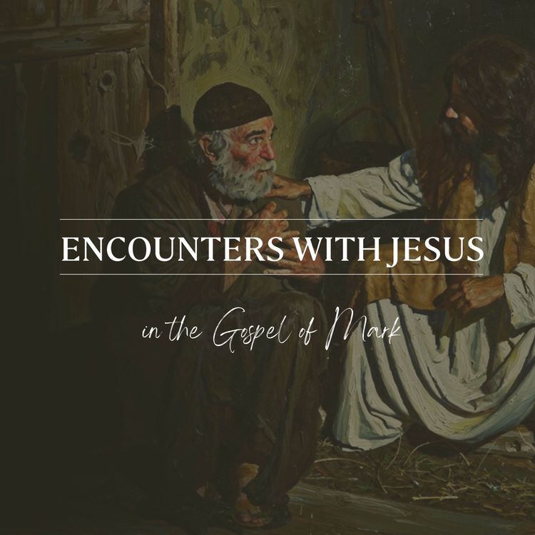 cover art for The Paralytic and His Friends