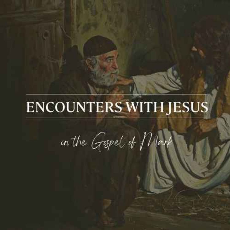 cover art for Levi the Tax Collector