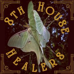 cover art for 8th House Healers