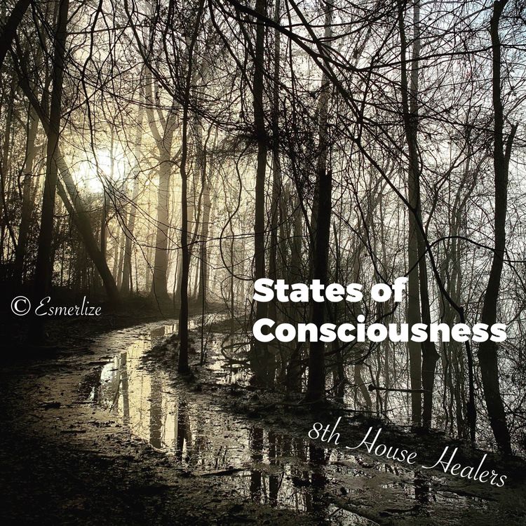 cover art for Conversations on Consciousness II