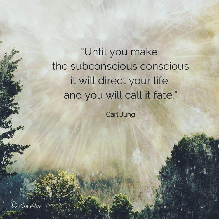 cover art for Conversations on Consciousness