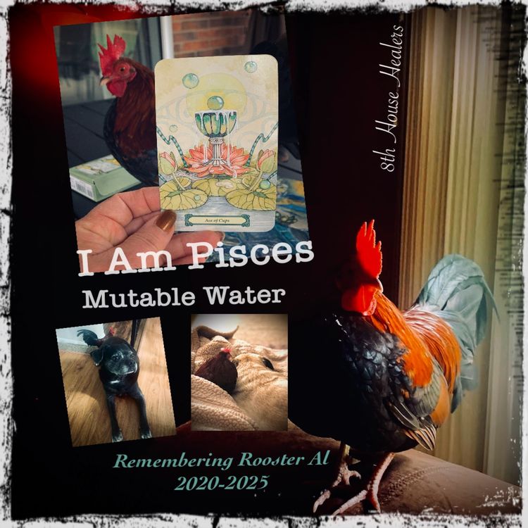 cover art for I Am Pisces