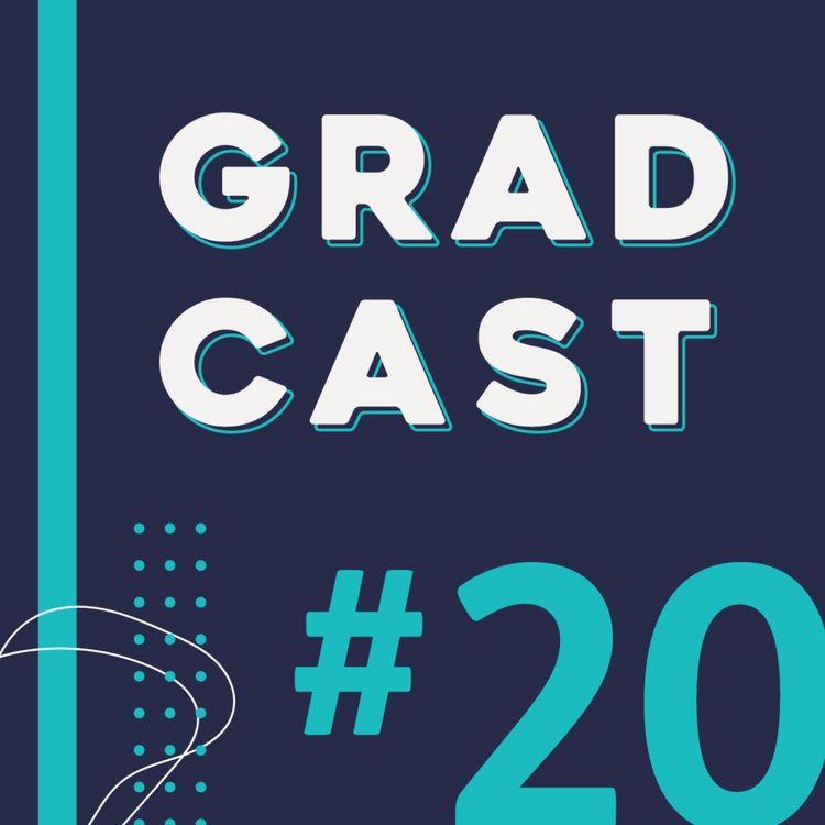 cover art for #20 - Understanding fraud and risk as an APS grad