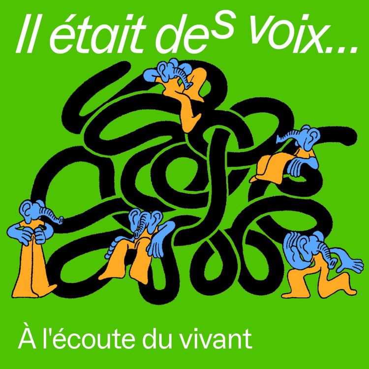 cover art for À l'écoute du vivant