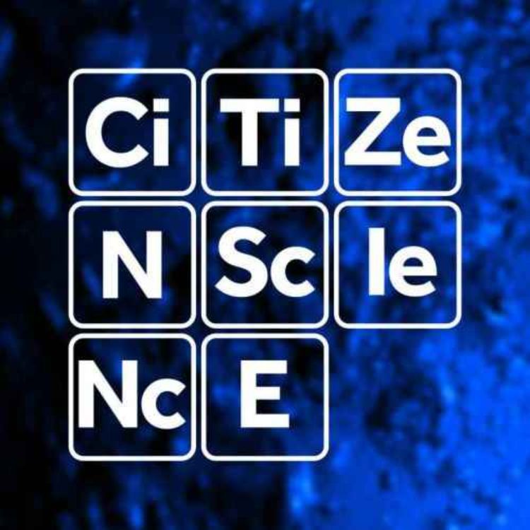 cover art for #010 - Saverio Russo | Billion Bees Foundation