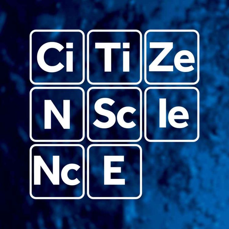 cover art for #049 - Judy Little | Bird Banding | Hunter Bird Observers Club