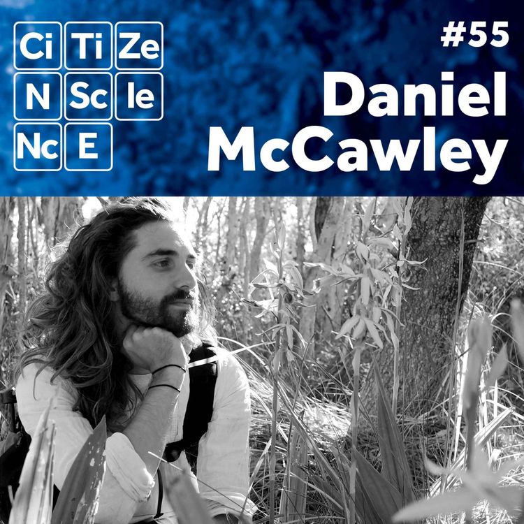 cover art for #055 - Daniel McCawley | Cane Toads | Clarence Land Care