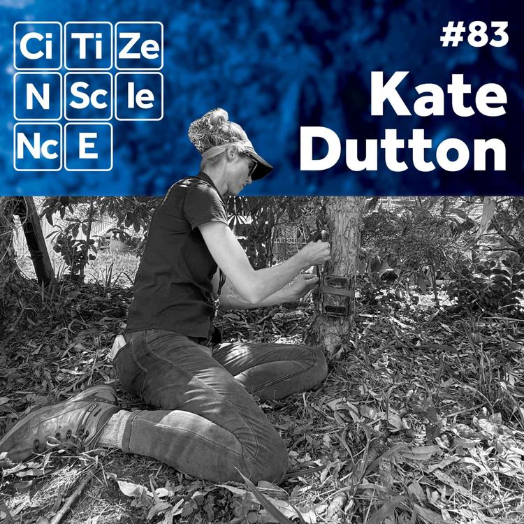 cover art for #083 Protecting an Icon: Inside the Secret Life of the Echidna with Dr Kate Dutton-Regester