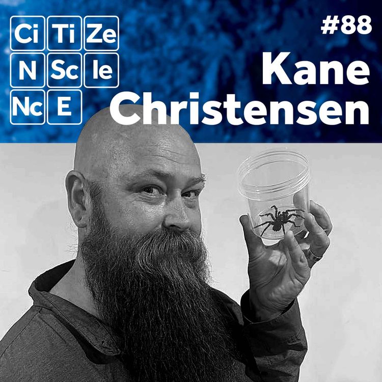 cover art for #088 The Discovery That Changed How We See Funnel Web Spiders Kane Christensen