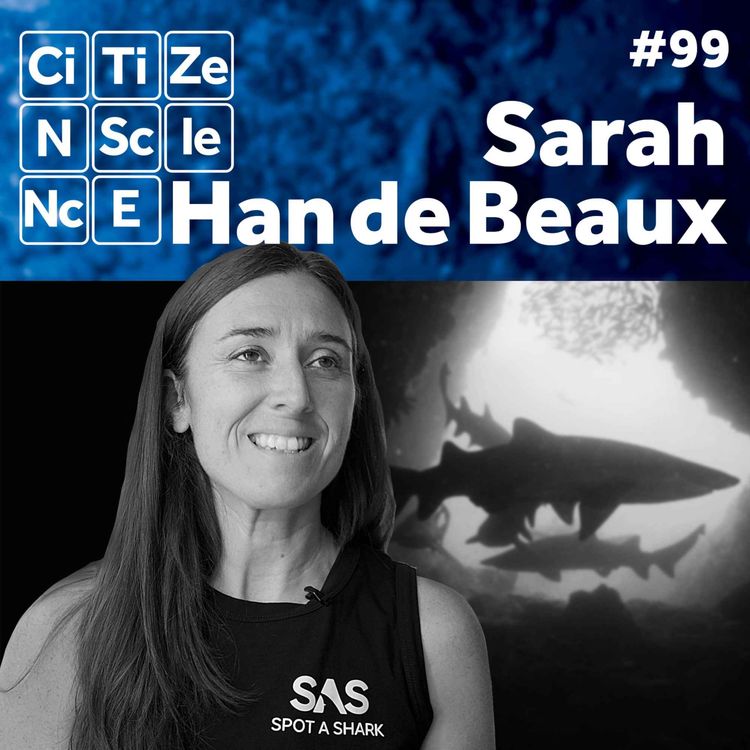 cover art for #099 From Quarry Floors to Shark Databases: How a Lifelong Fascination Turned into a Conservation Mission