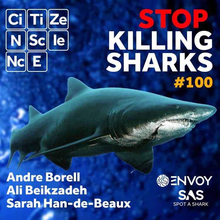 cover art for #100 STOP KILLING SHARKS