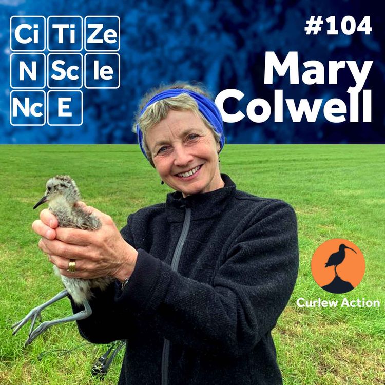 cover art for #104 The Voice That Stops the World: A Life Devoted to the Curlew with Mary Colwell