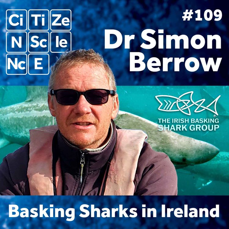 cover art for #109 Ireland’s Enduring Love Affair with the Basking Shark | Dr Simon Berrow