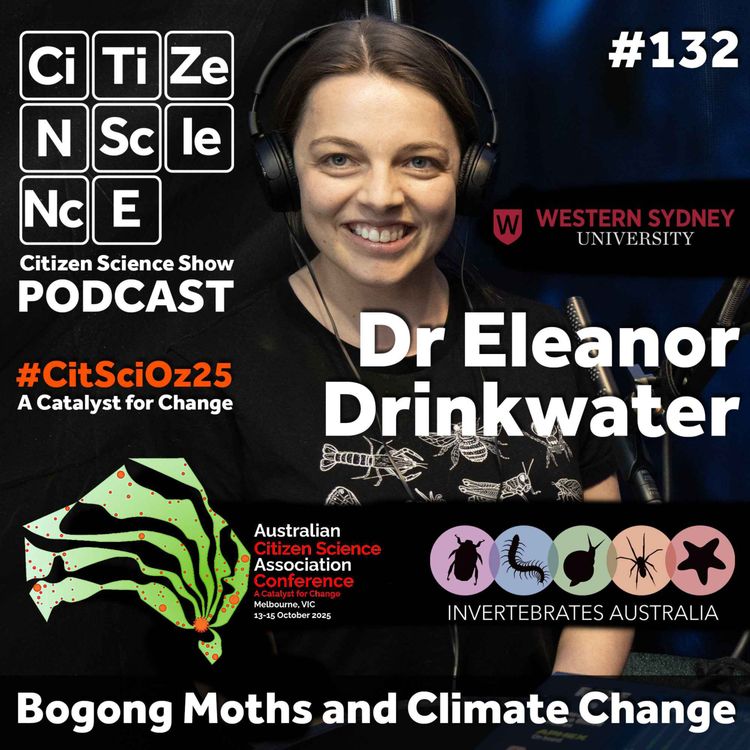 cover art for #132 Following the Amazing Flight of the Bogong Moth with Dr Eleanor Drinkwater