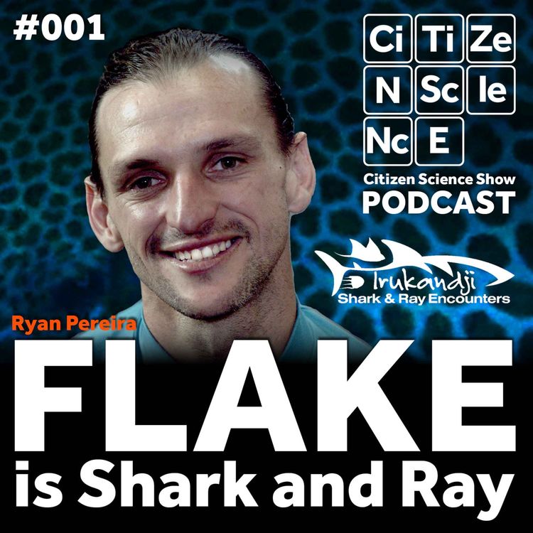 cover art for #001 Flake is Shark and Ray with Ryan Pereira at the Irukandji Centre