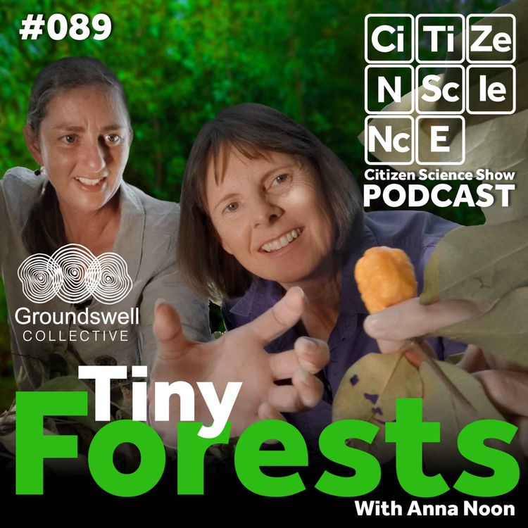 cover art for #089 Restoring Nature One Forest at a Time with Anna Noon