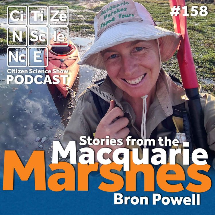 cover art for #158 Stories from Kayaking the Wild Waters of the Macquarie Marshes with Bron Powell