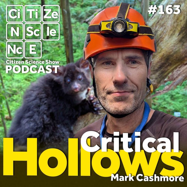 cover art for #163 Climbing Into the Canopy: Mark Cashmore on Trees, Technology and the Future of Urban Ecology