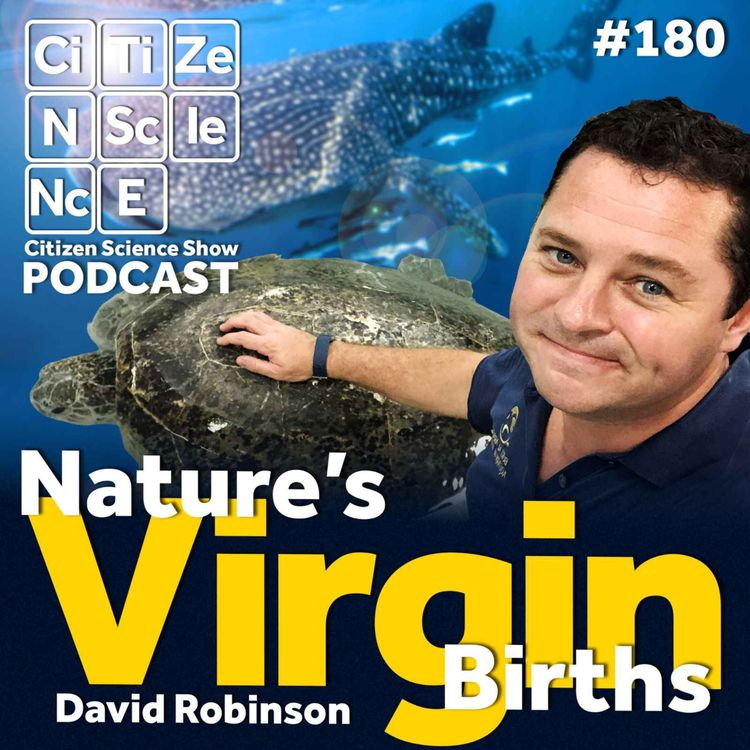 cover art for #180 From a Lone Shark in a Dubai Aquarium to Byron Bay's Leopard Shark Capital: The Unlikely Career of David Robinson
