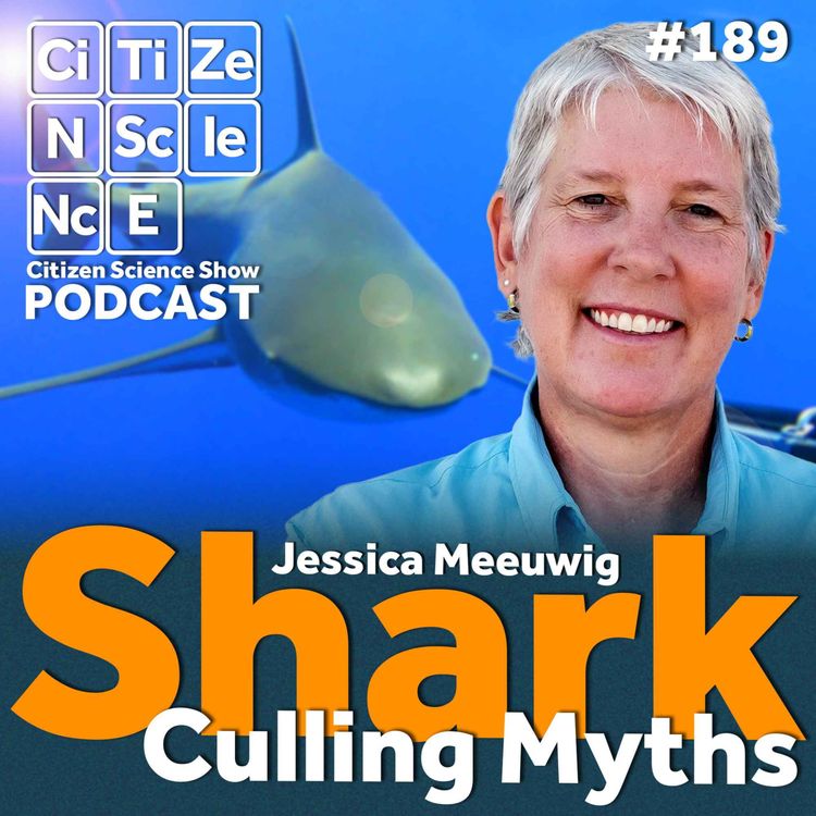 cover art for #189 Why Killing Sharks Won't Make Our Beaches Safer with Jessica Meeuwig