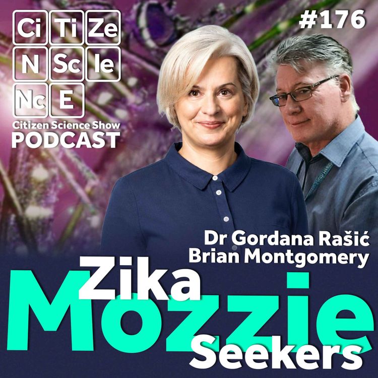 cover art for #176 Brisbane’s backyard mosquito hunters are helping keep Zika at bay with Dr Gordana Rašić and Brian Montgomery