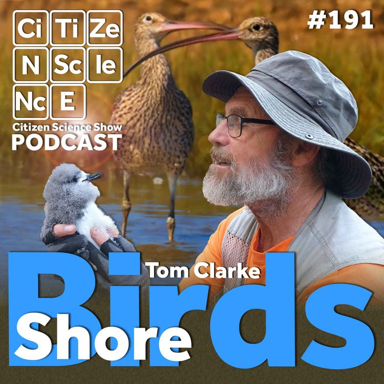 cover art for #191 Fifty Years of Mud, Sweat and Cheers: How One Volunteer Is Fighting to Save the Hunter's Shorebirds with Tom Clarke