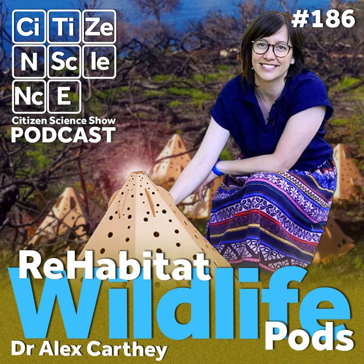 cover art for #186 Cardboard Teepees for Wildlife: How Dr Alex Carthey Is Rebuilding Shelter After the Fires