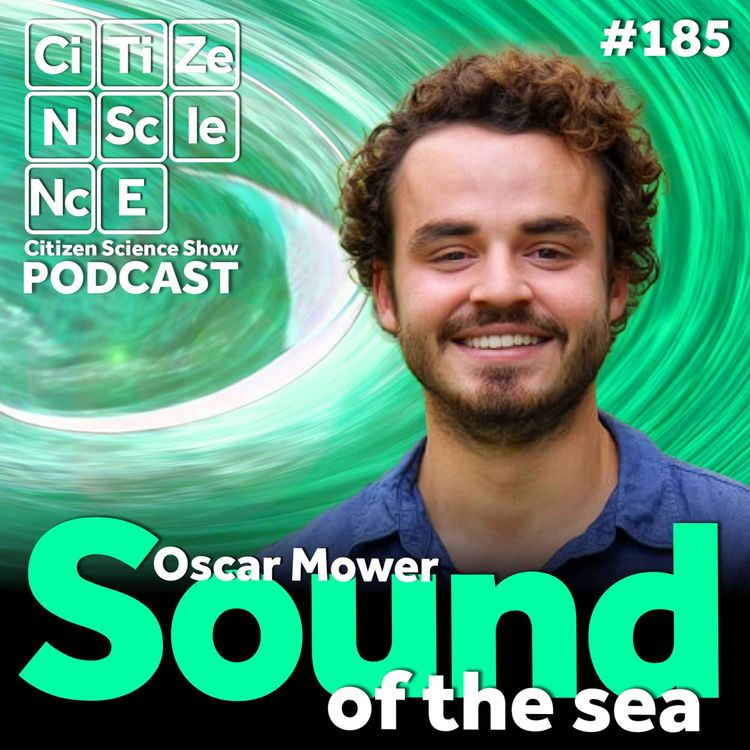 cover art for #185 The Sound of a Whale You've Never Heard: How Oscar Mower Taught a Computer to Listen