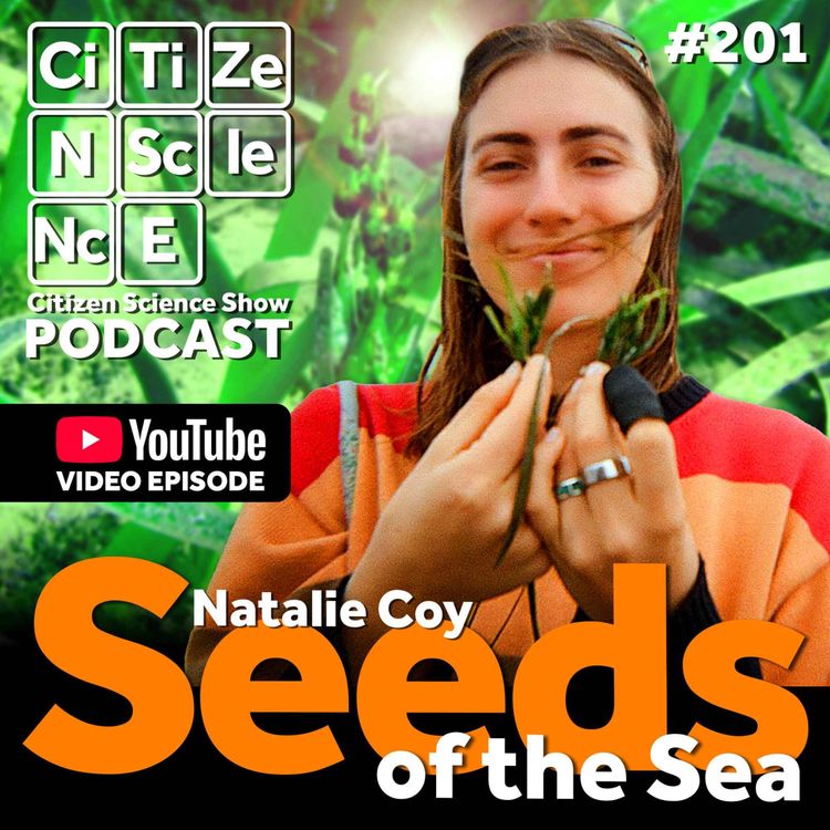 cover art for #201 The Rainforests of the Ocean: Natalie Coy on Seagrass, Seeds and the Fight to Save Posidonia Australis
