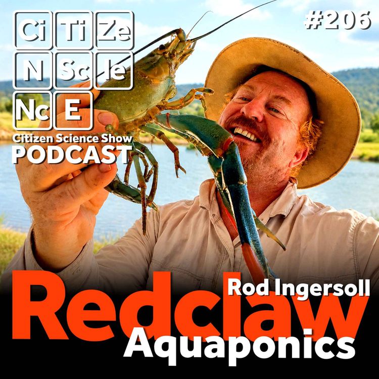 cover art for #206 From Gold Mines to Gumboots: Rod Ingersoll's Unlikely Path to Redclaw