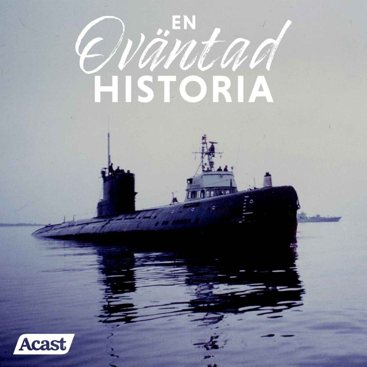 cover art for U137 – Sveriges kalla kriges hetaste ögonblick