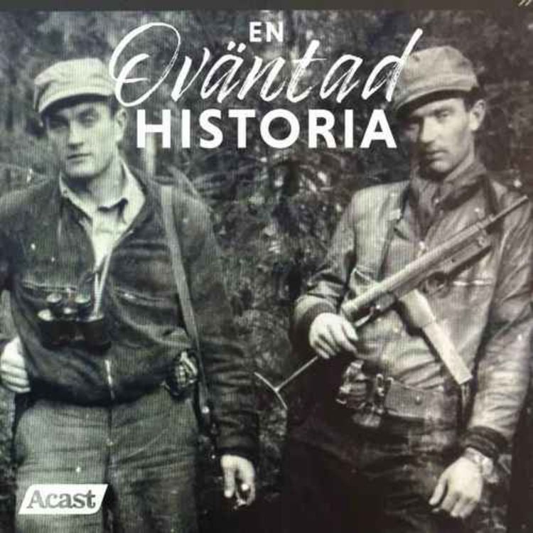 cover art for Spionerna som aldrig kom hem