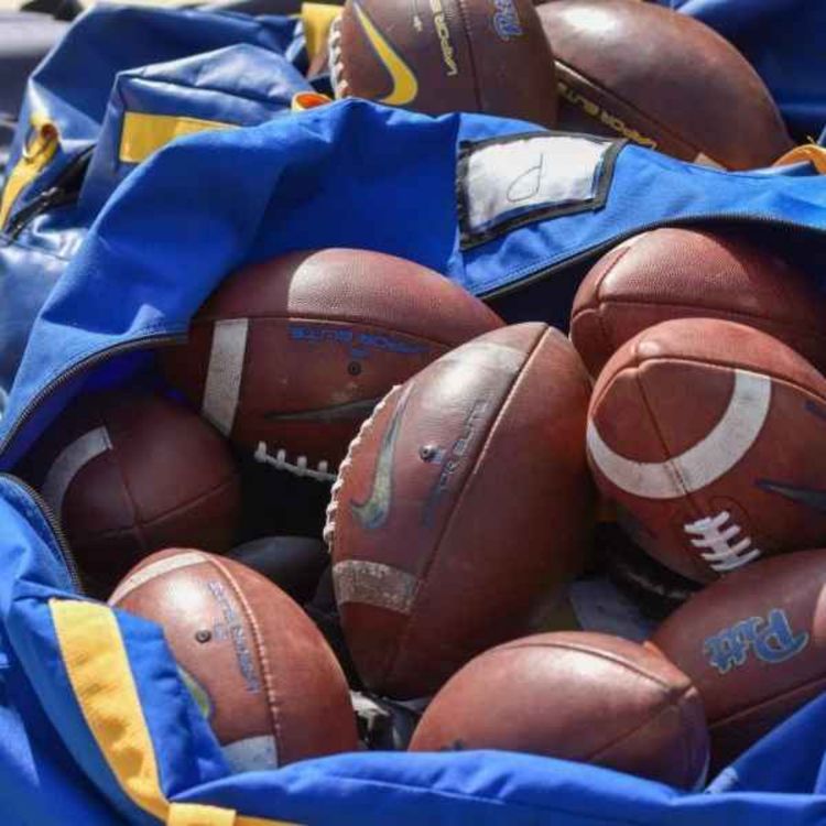 cover art for What to expect in the Super Bowl