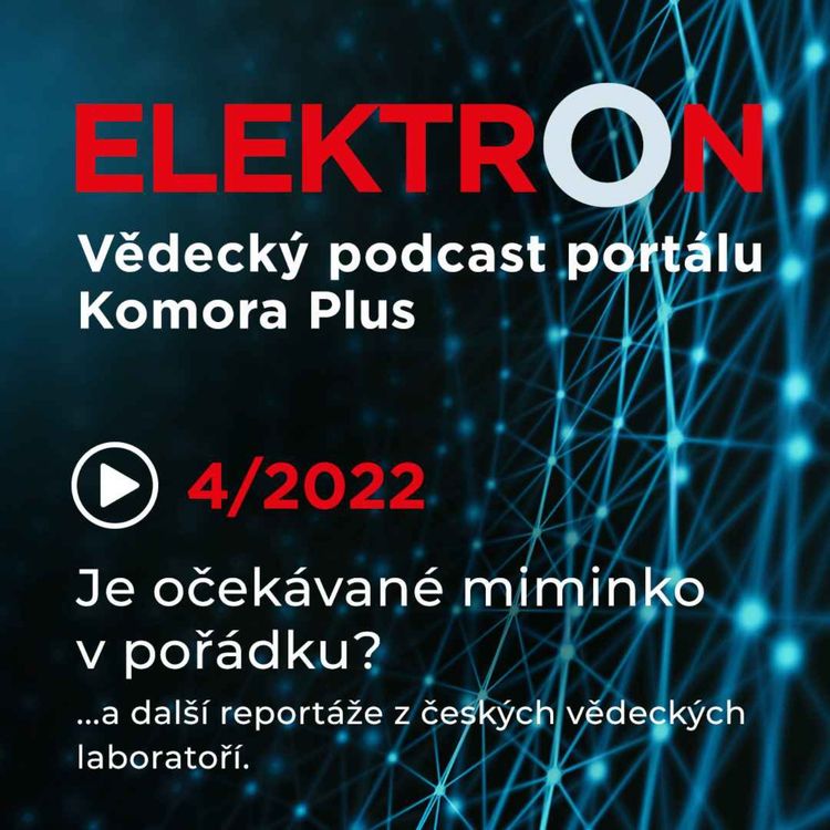 cover art for Je očekávané miminko v pořádku?