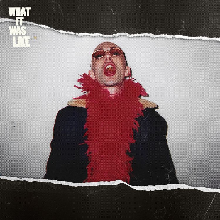 cover art for I Imported Rave Culture (and Ecstasy) to America