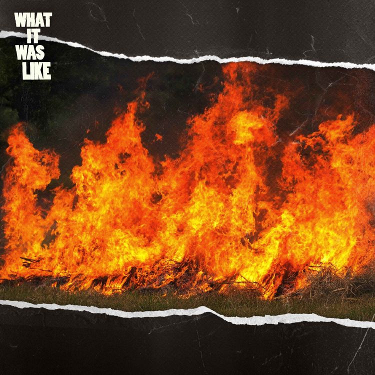 cover art for Lighting Bushfires Made Me Feel Less Alone