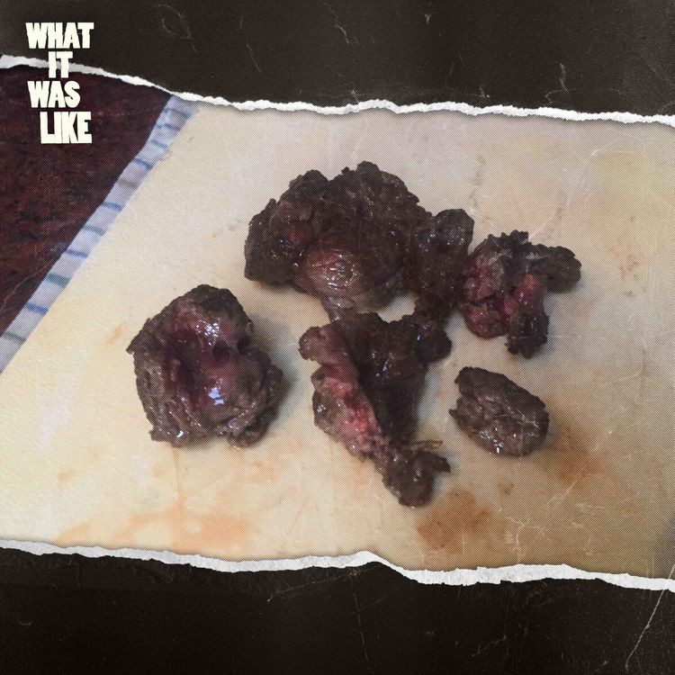 cover art for I Cooked and Ate My Own Foot