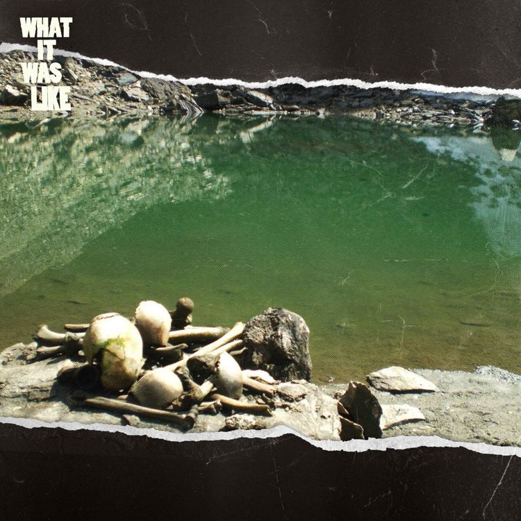 cover art for What Happened at Skeleton Lake?