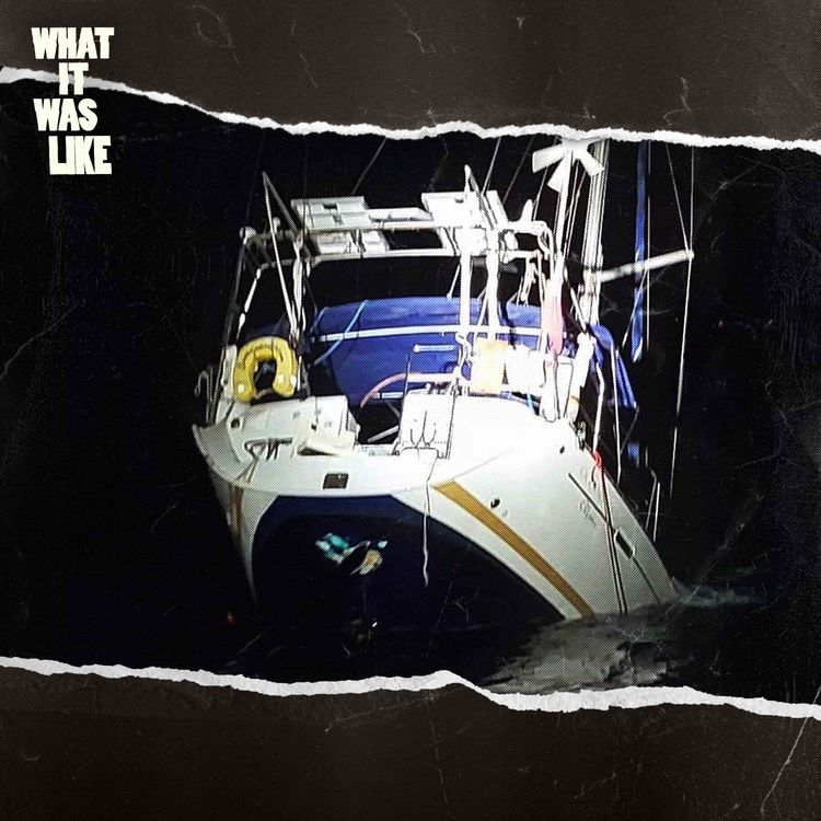 cover art for Whales Are Sinking Boats and No One Knows Why