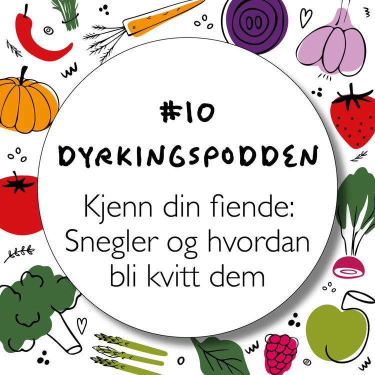 cover art for #Ep 10 Snegler - Kjenn din fiende og hvordan bli kvitt de!