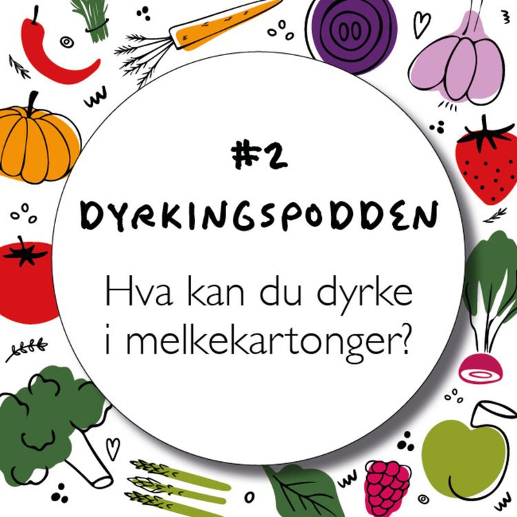 cover art for #Ep 2 - Dyrk hvor som helst - i melkekartonger!