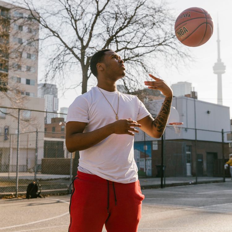 cover art for Ep. #394: Damon Stoudamire & Ryan Sidhoo on 'True North'