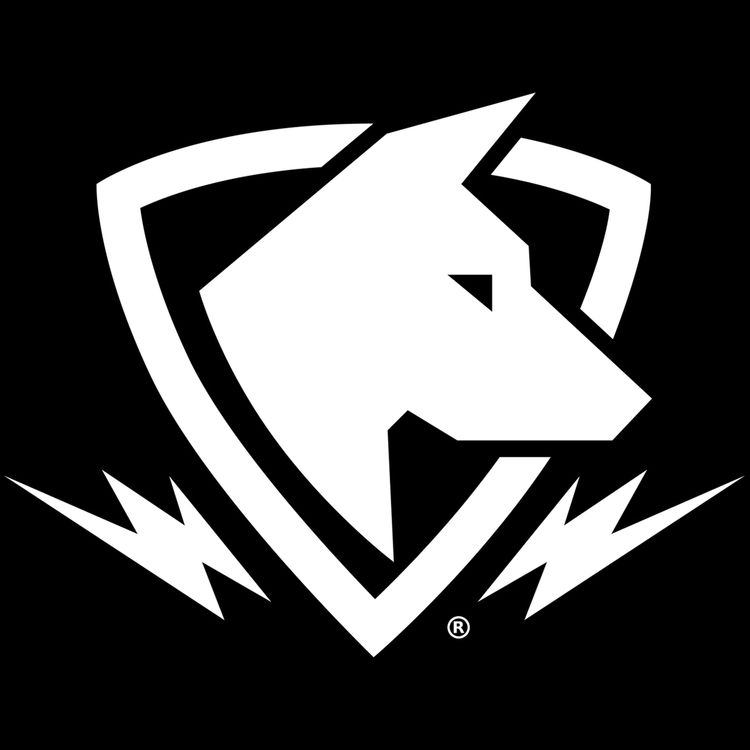 cover art for Update: See Us in Raleigh, NC at NC Comicon - - March 17 & 18!