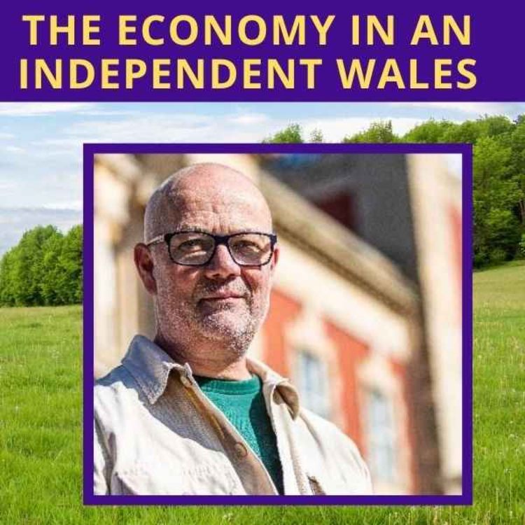 cover art for The economy in an independent Wales