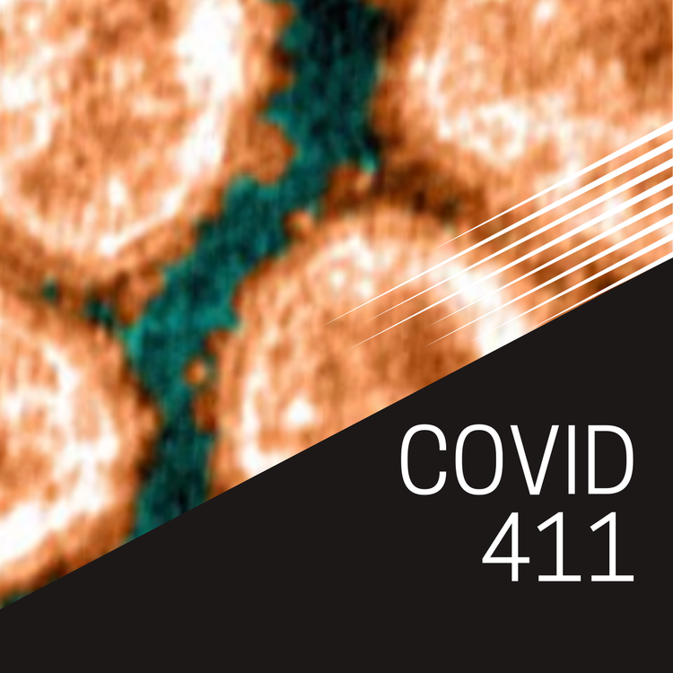 cover art for COVID, Coronavirus, Omicron, and vaccine updates for 02-24-2022 