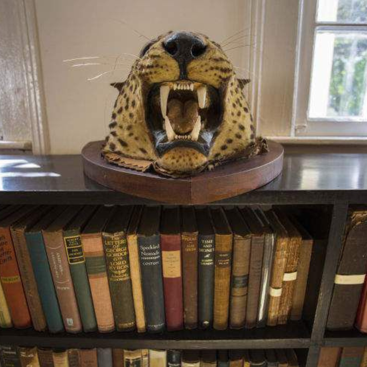 cover art for Drawing from fiction