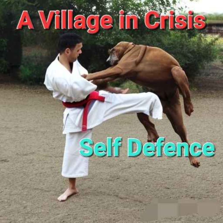 cover art for Self Defence