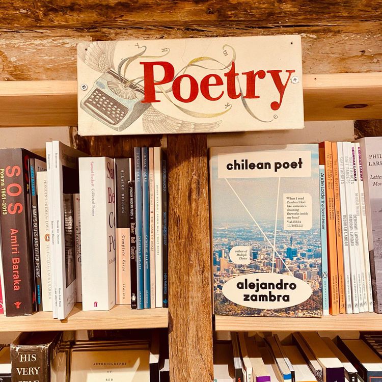 cover art for Superstar Poets and (Step)Fatherhood in Chile, with Alejandro Zambra