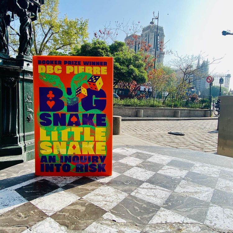 cover art for đđČLuck, Life and Little Snakes, with DBC PierređČđ